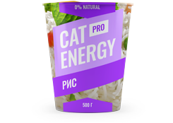 CAT Energy